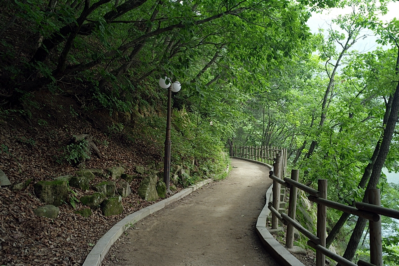 라이카클럽