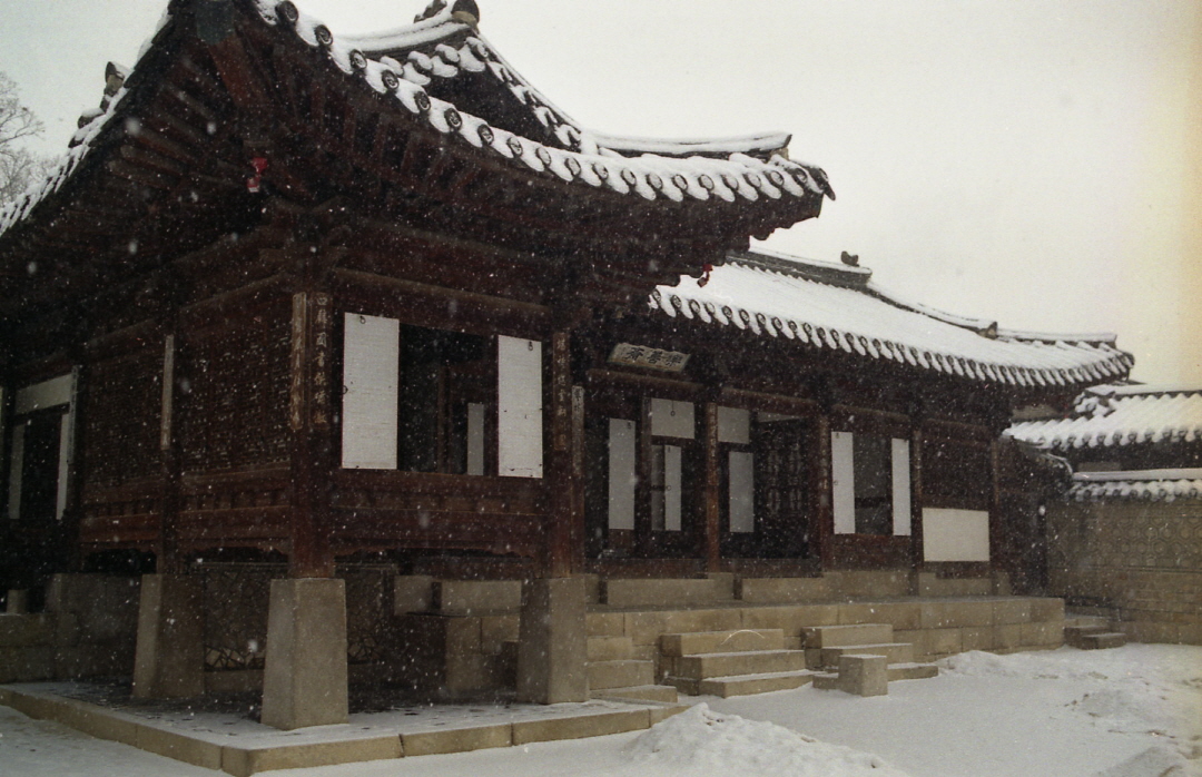 라이카클럽